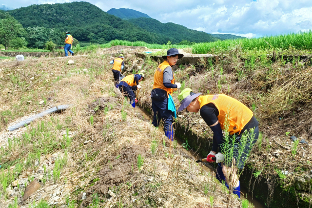 26일 청송군 공무원과 바르게살기 운동 청송군협의회, 청송군새마을회 등 70여 명이 문경시 산북면 거산리를 찾아 수해복구를 도왔다. 청송군 제공