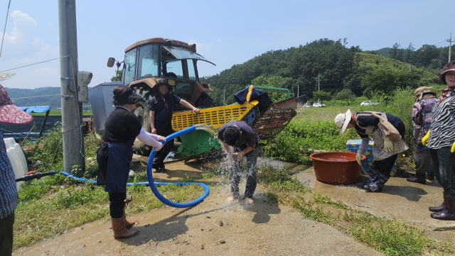 30일 오후 예천 감천면 농가 피해 복구현장. 휴가를 반납하고 경남 김해에서 예천으로 아내와 두 자녀와 함께 봉사를 온 구영길(51) 씨가 더위로 달아오른 몸을 식히기 위해 온몸에 물을 뿌리고 있다. 윤영민 기자