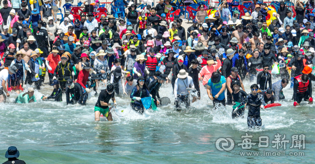 경북 포항시 기계면 최고 기온이 35.9도를 기록한 30일 구룡포해수욕장에서 열린 오징어맨손잡기 체험행사장이 피서객들로 붐비고 있다. 안성완 기자 asw0727@imaeil.com