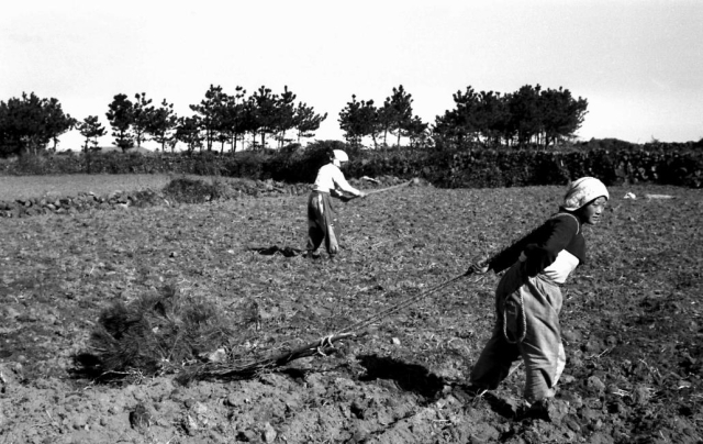 1960년대에 홍정표 씨가 촬영한 갈몸빼 사진. 문화재청 제공