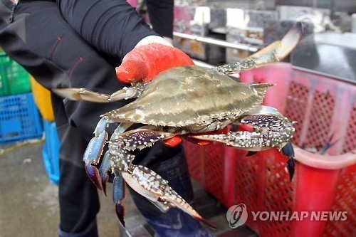 이탈리아가 전쟁을 선포한 생태 파괴 외래종 