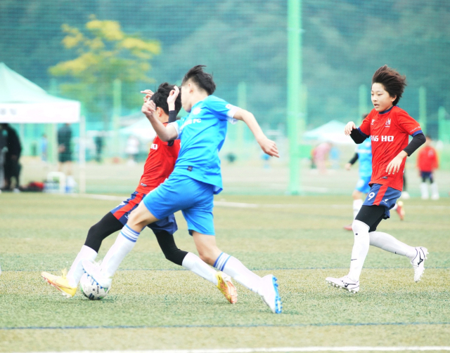 지난해 상주컵 전국유소년클럽 축구 페스티벌의 한 경기 장면. 고도현 기자