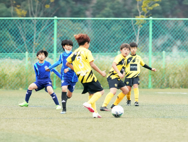 지난해 상주컵 전국유소년클럽 축구 페스티벌의 한 경기 장면. 고도현 기자