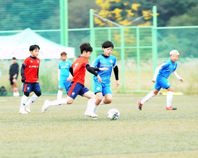 지난해 상주컵 전국유소년클럽 축구 페스티벌의 한 경기 장면. 고도현 기자