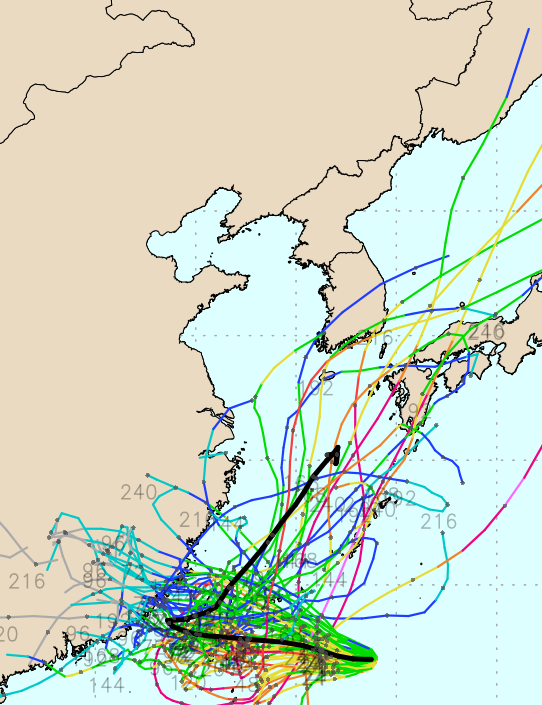 유럽중기예보센터(ECMWF) Ensemble(앙상블) 모델 11호 태풍 하이쿠이 예상경로