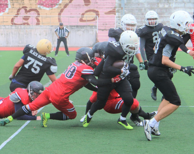 제33회 대구경북 대학 미식축구 추계 대회가 9일 시작된다. 지난 대회 경일대와 대구한의대의 경기 모습. 대구경북미식축구협회 제공