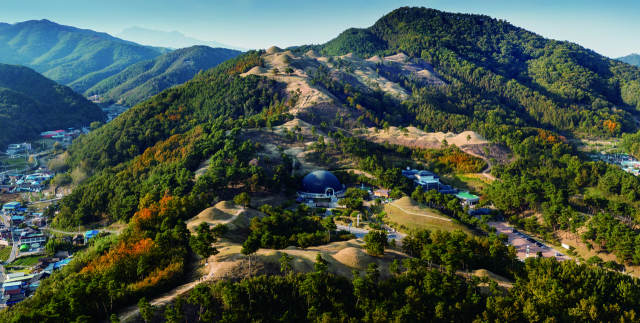 지산동고분군 가을 풍경. 고령군 제공