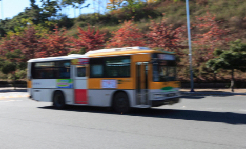 승객 태우고 아내 운전 연습시킨 버스기사 해고…지노위 