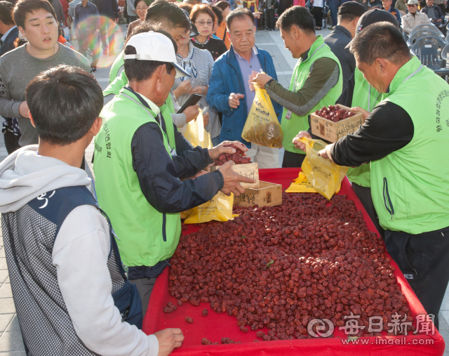 제12회 경산대추축제＆농산물한마당이 14,15일 경산생활체육공원 어귀마당에서 열린다. 사진은 지난 경산대추에서 대추를 판매하는 모습. 매일신문DB