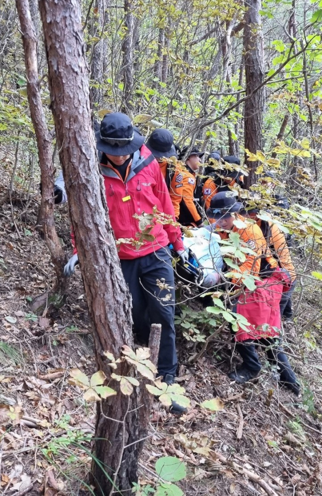 15일 오전 송이를 채취하러 간 주민이 하루 만에 숨진 채 발견됐다. 경북소방본부 제공