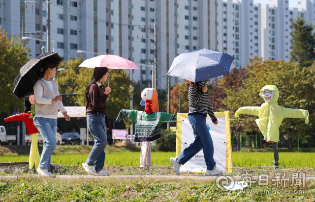 16일 가을걷이가 한창인 대구 북구 학정동 들녘에 허수아비가 세워져 있어 눈길을 끈다. 허수아비는 강북풀뿌리단체협의회가 10월마다 10년째 이어오고 있는 논두렁밭두렁 마을축제 허수아비 공모전에 어르신과 어린이집 원아 등 마을 주민들이 출품한 작품이다. 우태욱 기자 woo@imaeil.com