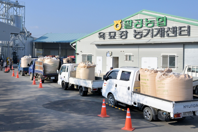 대구 군위군 팔공농협에 농민들이 산물벼 수매 순서를 기다리고 있다. 군위군 제공