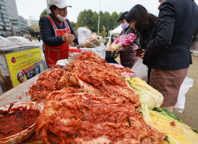 김치 자료 사진. 연합뉴스