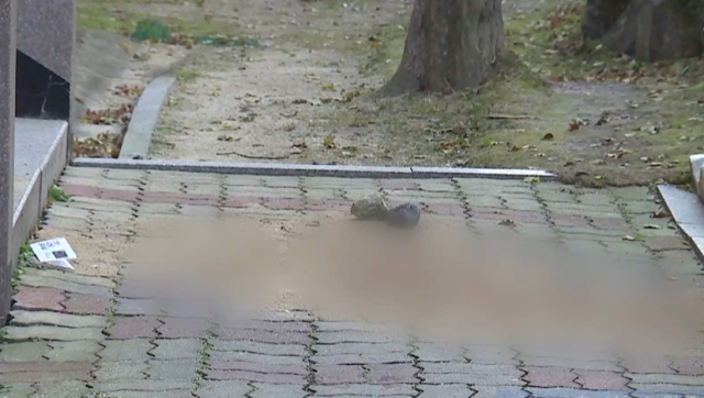 서울 노원구 한 아파트에서 초등학생이 던진 돌에 맞아 70대 남성이 숨졌다. 사진은 사건 현장 모습. TV조선 뉴스 캡처