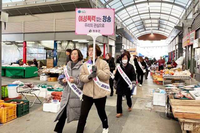 청송군이 지난 29일 청송군 청송읍 일원에서 여성폭력 예방을 위한 캠페인을 추진했다. 청송군 제공