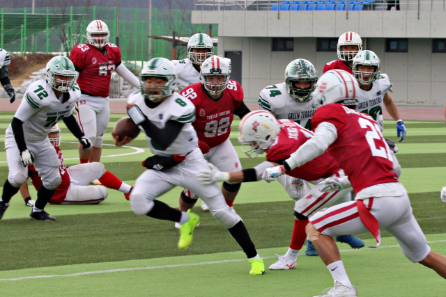 서울대가 2일 대구 군위에서 열린 제63회 전국대학 미식축구 선수권대회 타이거볼에 출전, 동의대 수비진을 제치고 돌파를 시도하고 있다. 대구경북미식축구협회 제공