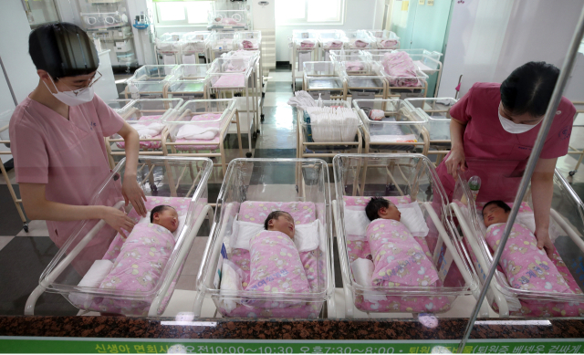 대구 시내 한 산부인과 신생아실에서 간호사들이 2023년 1월 새해둥이를 돌보는 모습. 매일신문DB