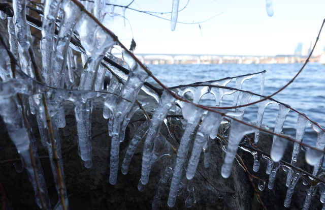 서울 최저 기온이 영하 8도를 기록한 30일 오후 서울 영등포구 한강공원 나뭇가지에 얼음이 얼어 있다. 연합뉴스