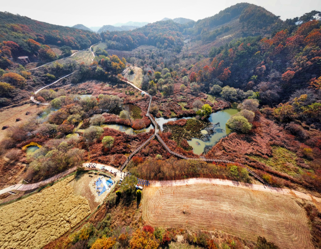 하늘에서 본 문경 돌리네습지. 문경시 제공