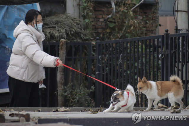 중국 베이징에서 반려견 산책 시키는 시민[EPA 연합뉴스]