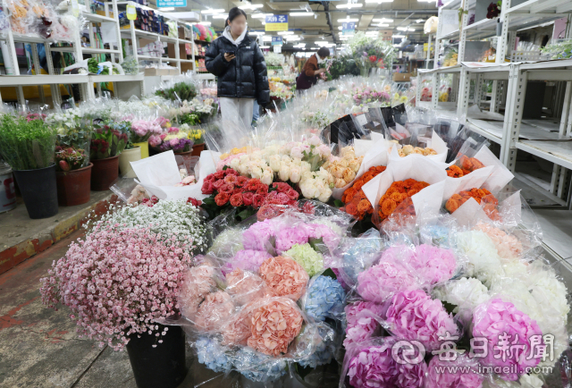 [포토뉴스] 본격적인 졸업 시즌 맞은 꽃시장