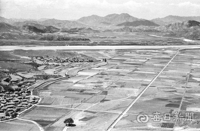 1964년 6월 5일 바둑판 처럼 농경지가 정리된 금릉군(현 김천시) 농소면 신촌리 신촌평야. 