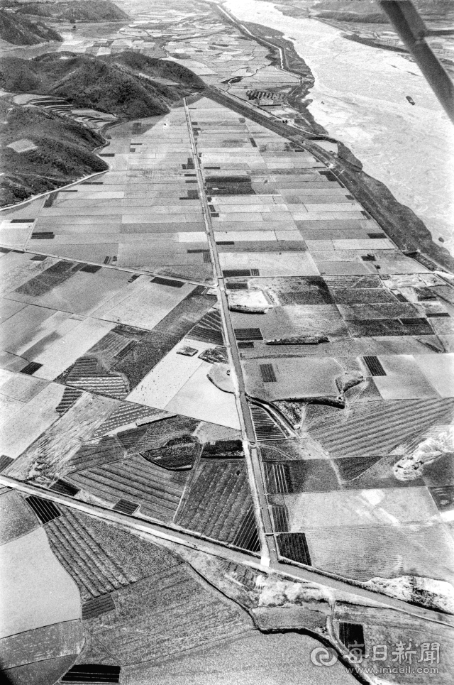 1964년 6월 5일 농경지가 정리된 금릉군(현 김천시) 농소면 신촌리 신촌평야에서 농민들이 모내기를 하고 있다. 