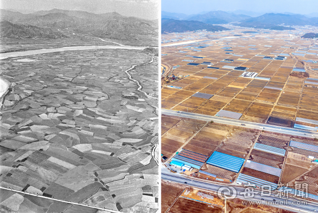 1964년 아포읍 봉산리,의리 일대 농경지(왼쪽)의 2024년 현재 모습(오른쪽). 맨 아래 아포대로 옆으로 경부고속도로가 지나고 있다. 사진=매일아카이빙센터