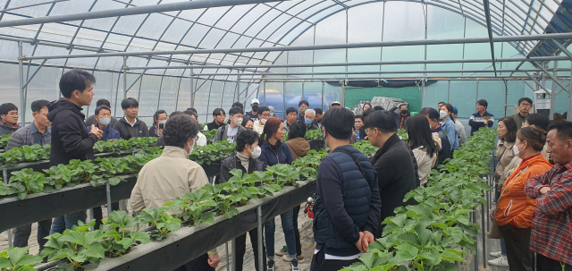 2023년도 딸기 6차 산업대학 교육생들이 현장 육묘 교육을 받고 있는 모습. 밀양시 제공