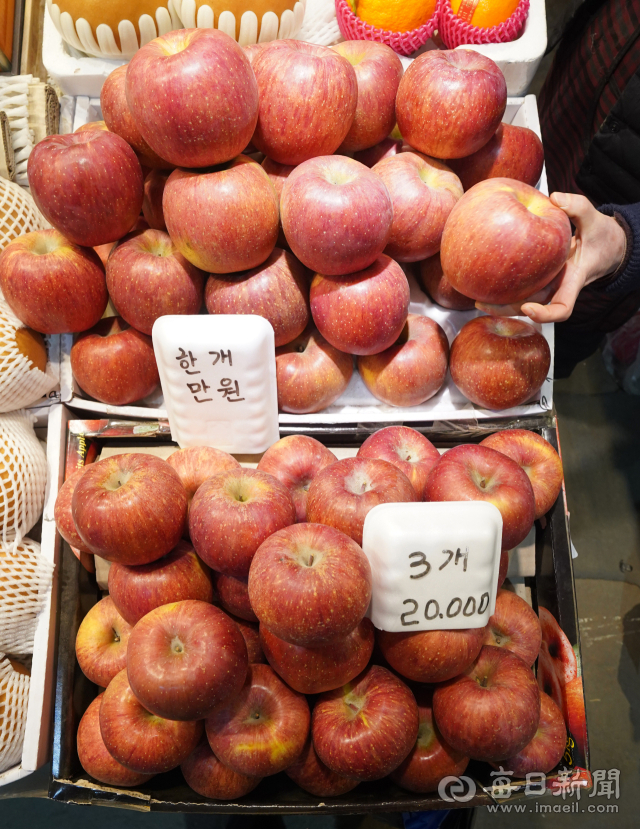 대구 칠성시장의 한 과일가게 사과 판매 가격이 