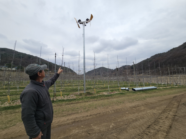 경북 예천의 한 과수 농장주가 사과밭에 설치하고 있는 열풍방상팬을 가리키고 있다. 윤영민 기자