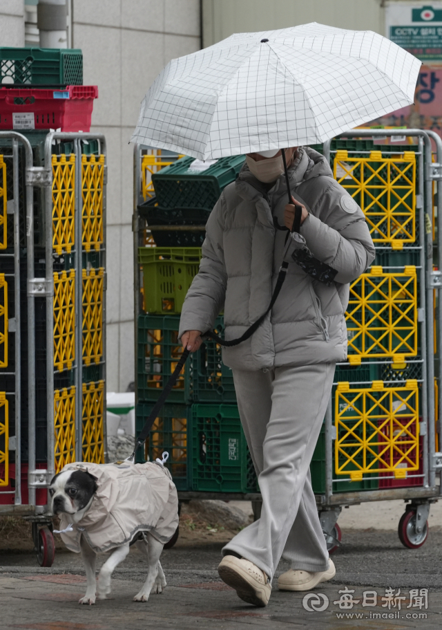 지난 25일 대구 시내에서 한 시민이 우산을 쓴 채 반려견과 산책을 하고 있다. 매일신문 DB
