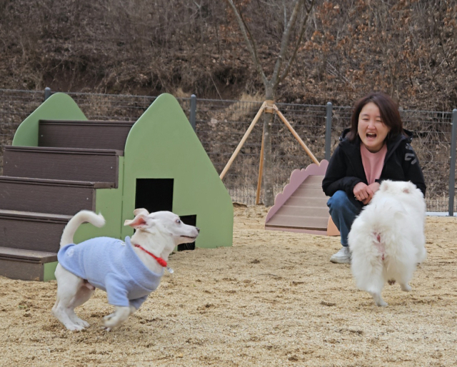 경북 영양군이 지난해 경북 최초로 조성한 반려동물 놀이터에서 방문객이 반려견과 즐거운 시간을 보내고 있다. 영양군 제공