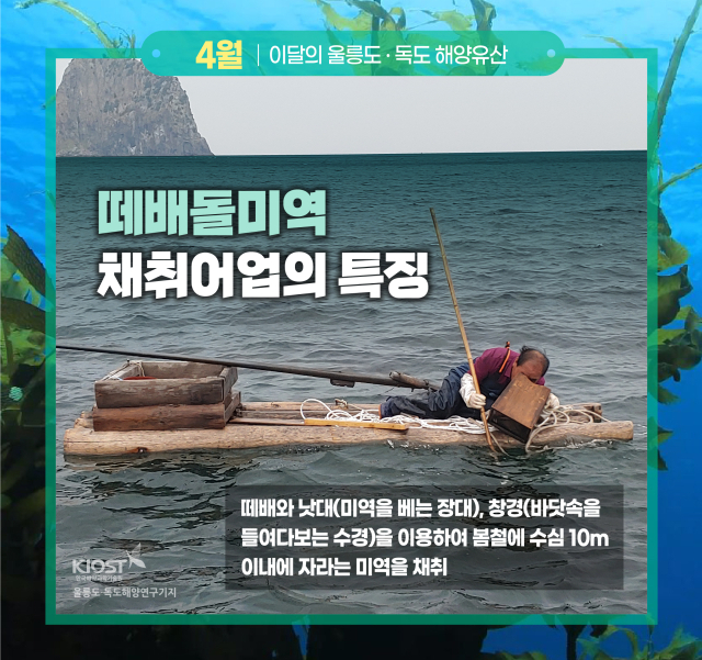 울릉주민들은 예전 떼배를 이용해 미역을 채취했다. 울릉도독도해양연구기지 제공