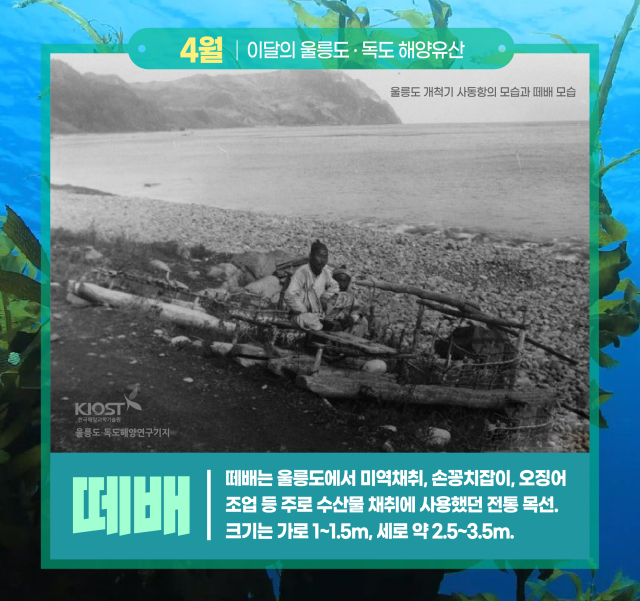 울릉도 개척시대 떼배를 이용해 손꽁치와 미역, 문어 등을 잡았다. 울릉도독도해양연구기지제공