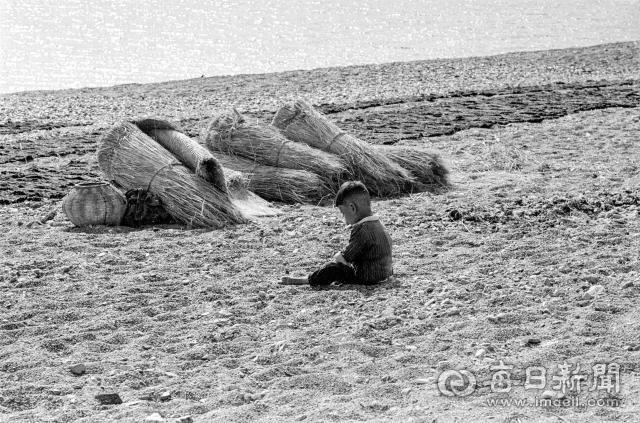 1962년 5월 중순 돌미역 말리기가 한창인 경북 양포 백사장에서 엄마를 기다리듯 앉아서 놀고 있는 아기. 사진=매일아카이빙센터