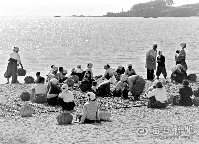 1962년 5월 중순 경북 양포 해변에 돌미역을 따기 위해 모인 해녀들. 당시 5백리 경북 해안에는 제바닥(육지) 해녀 1천2백명과 원정 온 제주 출가 해녀 1천70명이 등록돼 활동했다. 사진=매일아카이빙센터