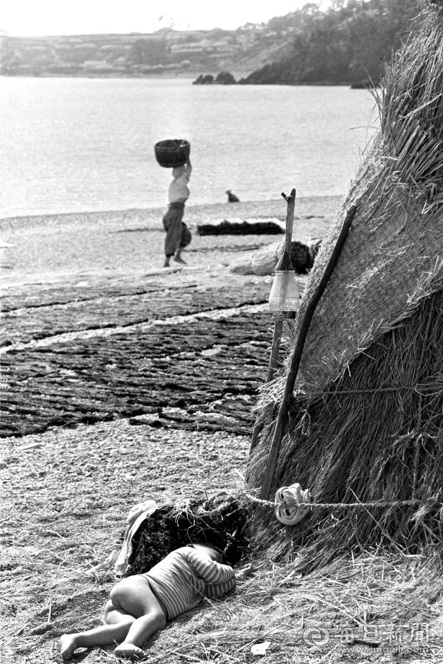 1962년 5월 중순 돌미역 말리기가 한창인 경북 양포 해변 움막 옆에서 한 아기가 팔베개를 한 채 곤히 잠을 자고 있다. 사진은 