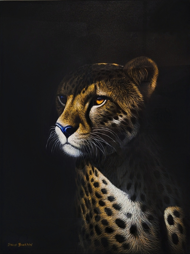 데이비드 버클로우(남아프리카공화국), cheetah, 2014, Oil on canvas, 120x90cm