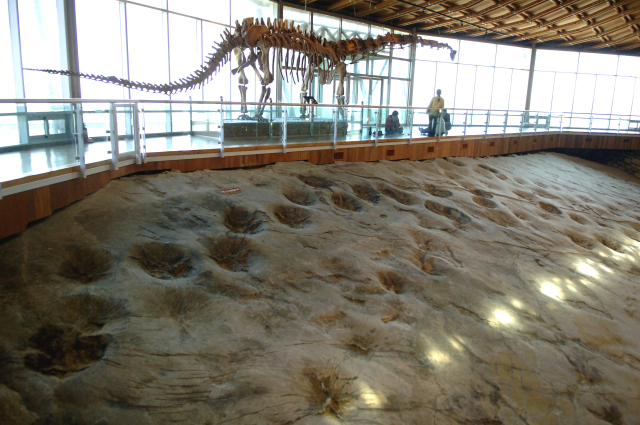 세계 최대 규모 익룡 발자국이 전시된 공룡박물관 보호각.