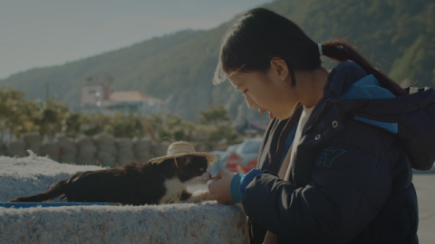 [TV] 섬마을 소녀와 고양이 학교 이야기  