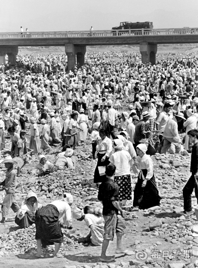 1962년 6월 13일 대구 신천 중동교 부근에서 영세민들이 제방을 보강하기 위해 강바닥 자갈을 모으고 있다. 사진=매일아카이빙센터
