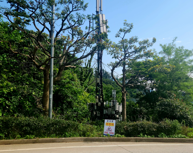 경북 울릉군일주도로변에 설치된 통신주. 미관을 해칠뿐 아니라 화재, 보안 등에 취약하다고 주민들은 지적했다. 조준호 기자