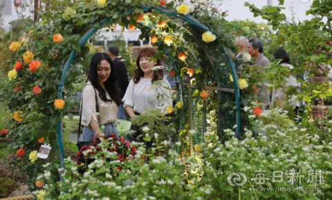 [포토뉴스] 제15회 대구 꽃 박람회…꽃밭에서