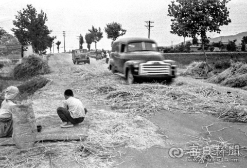 [김태형의 찰나의 순간 역사적 기록] <18> 1966년 차바퀴 보리타작