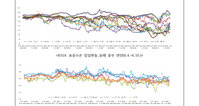 지난 4일부터 10일까지 국립수산과학원 실시간 해양수산환경 관측시스템(RISA)에 기록된 표층수온 일일변동. 국립수산과학원 해양자료속보 갈무리.