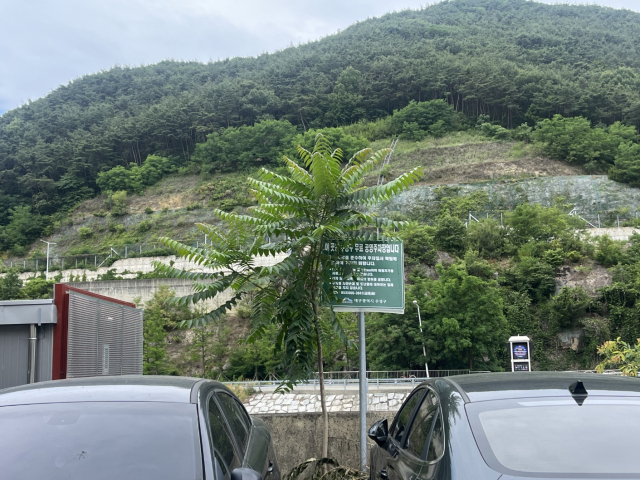 지난 6일 찾은 수성구 공한지 공영주차장(수성구 파동 581-151). 공영주차장 표지판이 잘 보이지 않는다. 정두나 기자