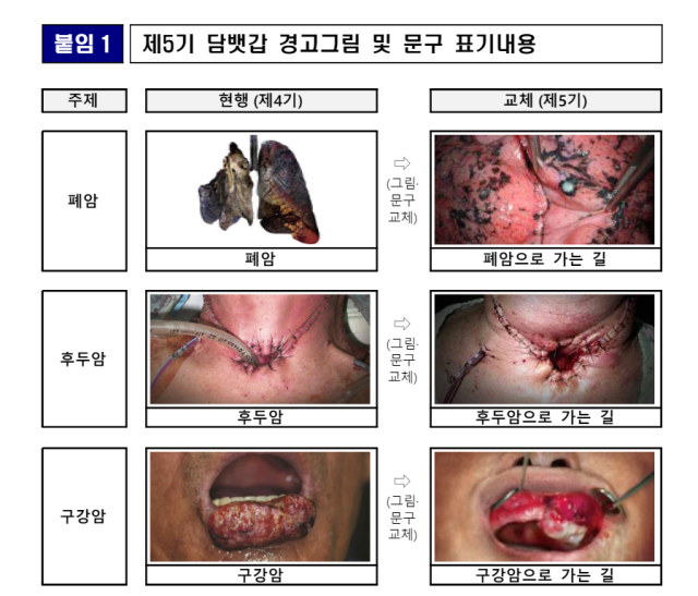 보건복지부가 공개한 담뱃갑 경고문구 예시.