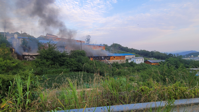 대구 군위군 군위읍의 한 돼지 축사에서 화재가 발생, 2시간만에 진화됐다. 대구소방본부 제공