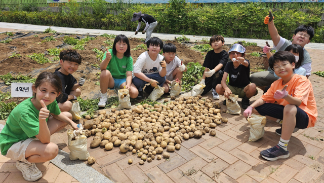 지난 21일 공산초 전교생과 교직원이 함께 3, 4월에 심은 감자·고추·오이 등 작물을 수확하고 있다. 대구시교육청 제공